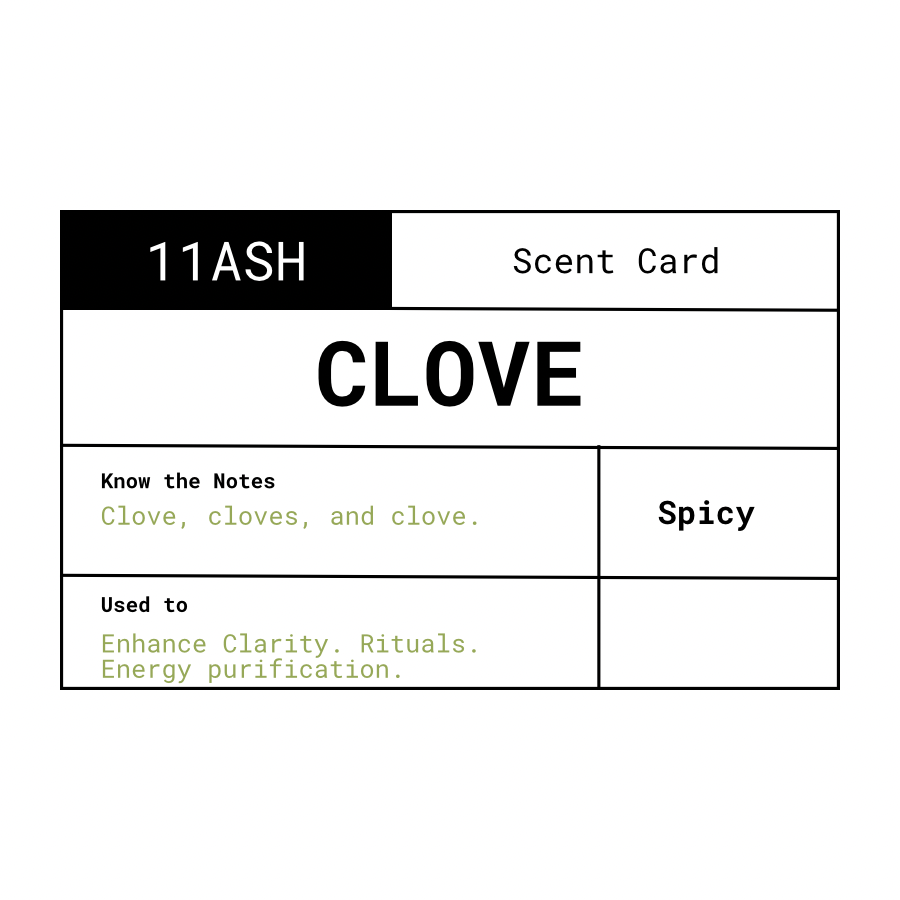 Clove | Charcoal Incense Cones